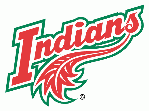 frolunda indians 1996-pres wordmark logo iron on transfers for T-shirts